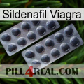 Sildenafil Viagra 31